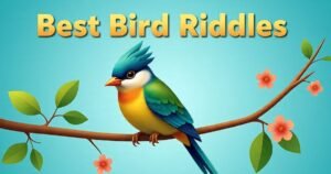 40+ Best Bird Riddles with Answers to Test your mind