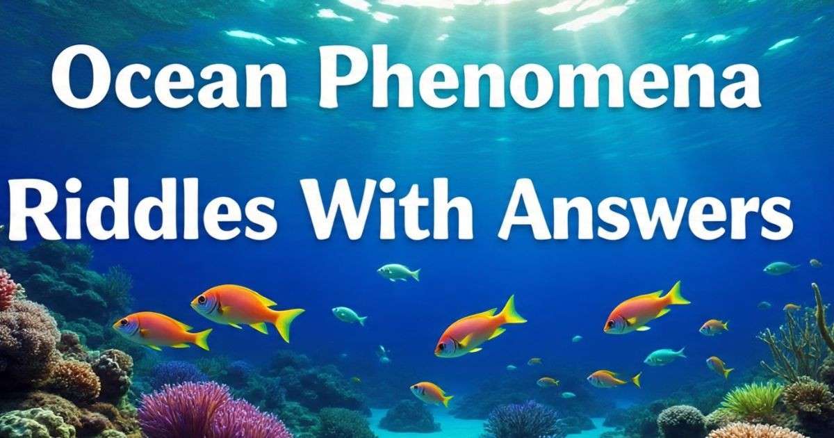 Ocean Creature Riddles 101+ Amazing Riddles About Ocean With Answers