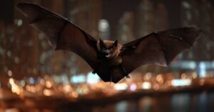 60+ Riddles for International Bat Night Fun 🦇