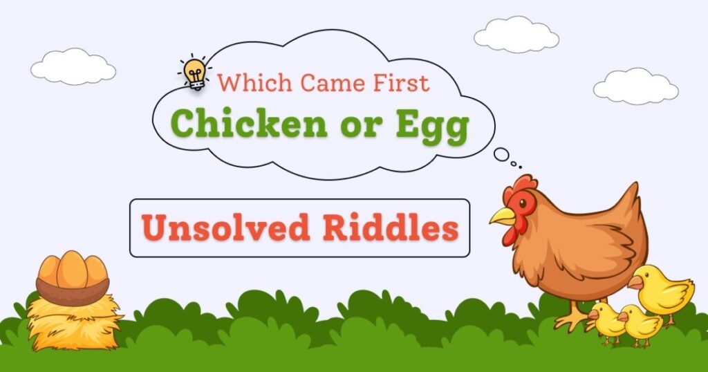chicken riddles
