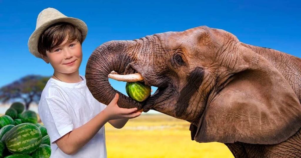 🐘 11+ Elephant Riddles for Kids That Are Big on Fun and Brain Power 2 easy elephant riddles