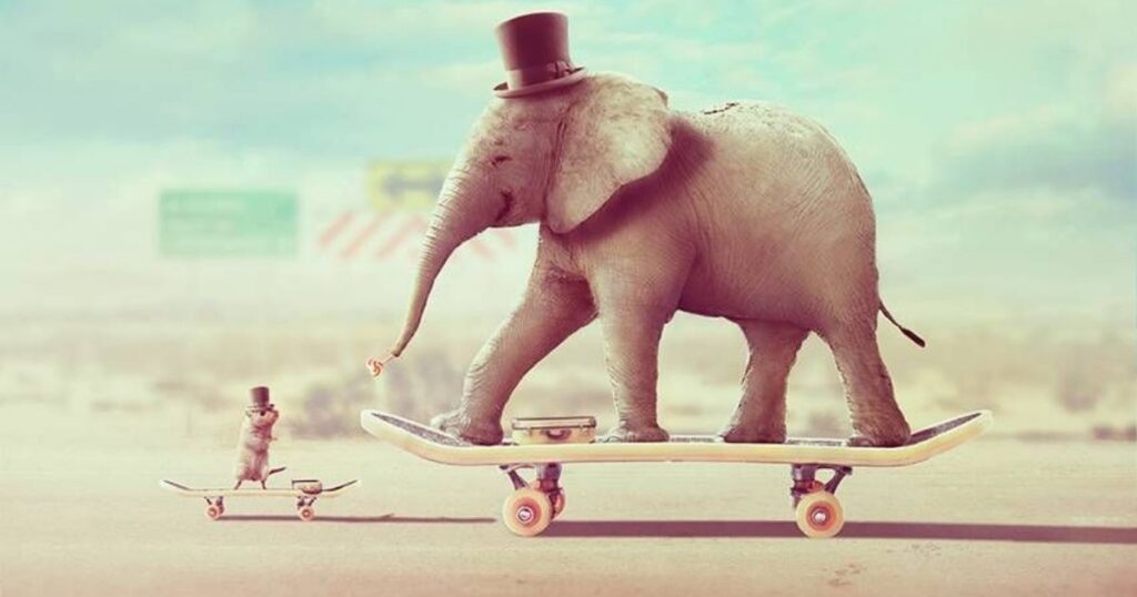 🐘 11+ Elephant Riddles for Kids That Are Big on Fun and Brain Power 3 funny elephant riddles