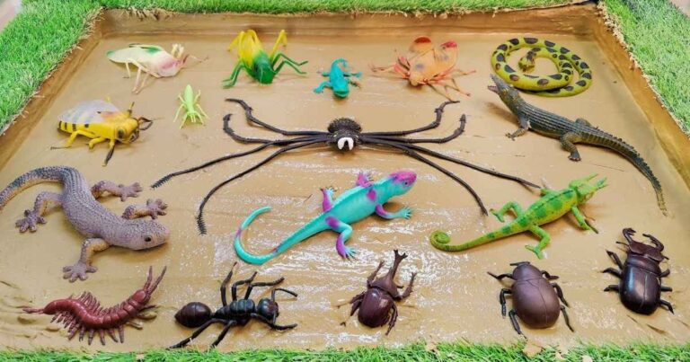 14+ Fun Reptile and Insect Riddles for Kids That Will Make You Think 🧠🐍 13 14+ Fun Reptile and Insect Riddles for Kids That Will Make You Think 🧠🐍