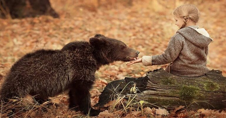 14+ Tricky Animal Riddles with Answers to Test Your Brain