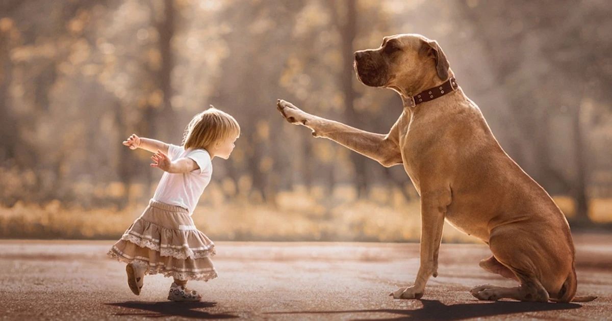 36+ Animal Riddles for Kids and Families That Are Fun, Easy and Tricky to Solve