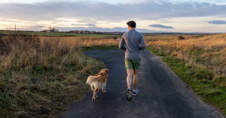 7+ Clever Twists on the how far can a dog run into the woods riddle (Fun & Tricky)