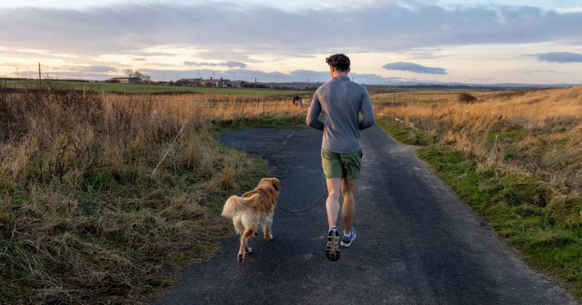 7+ Clever Twists on the how far can a dog run into the woods riddle (Fun & Tricky)