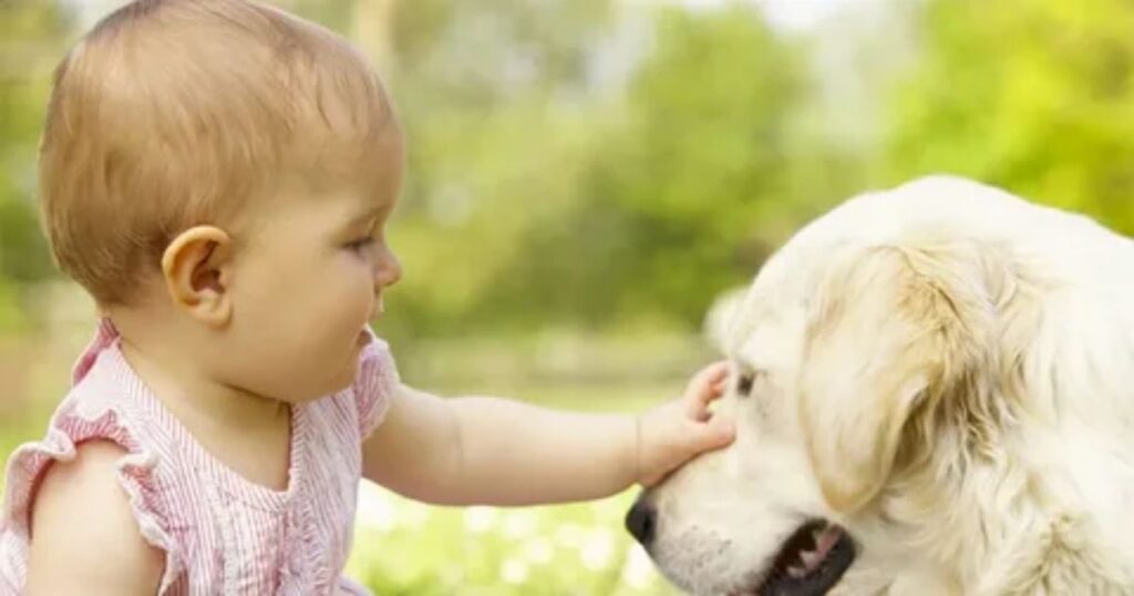 36+ Animal Riddles for Kids and Families That Are Fun, Easy and Tricky to Solve 9 animal brain teasers