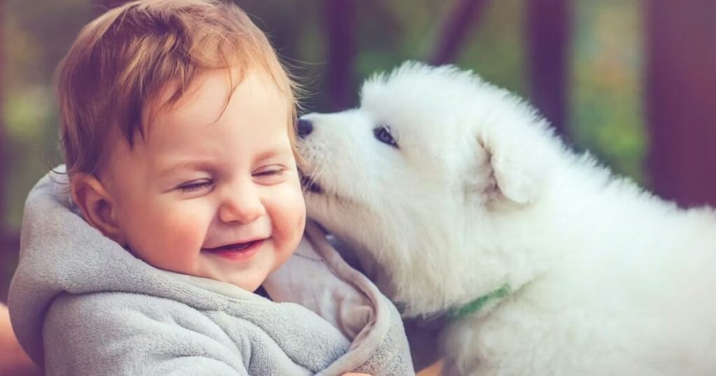 36+ Animal Riddles for Kids and Families That Are Fun, Easy and Tricky to Solve 3 animal riddles for kids