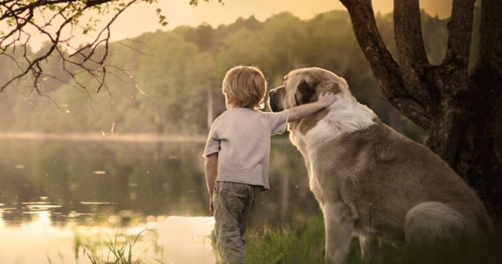 36+ Animal Riddles for Kids and Families That Are Fun, Easy and Tricky to Solve 2 animal riddles with answers