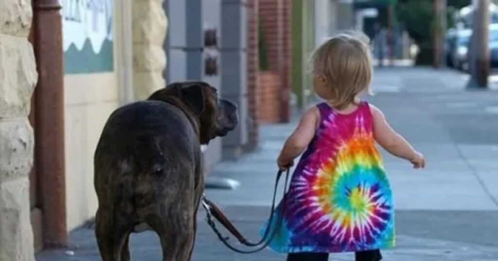 brain teasing animal riddles