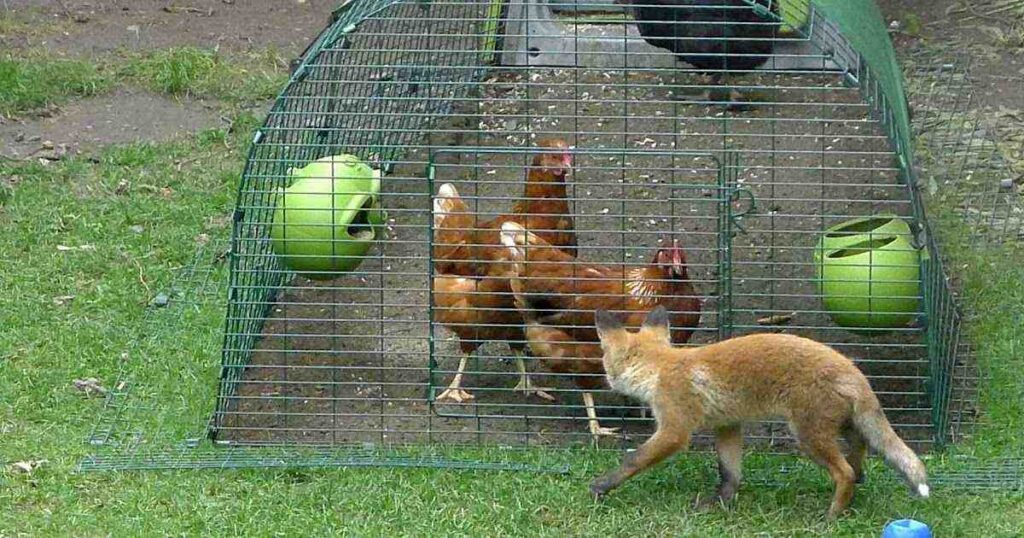 25+ Magical & Mind-Bending Fantasy Creature Riddles Kids Will Love 8 chicken fox and corn riddle