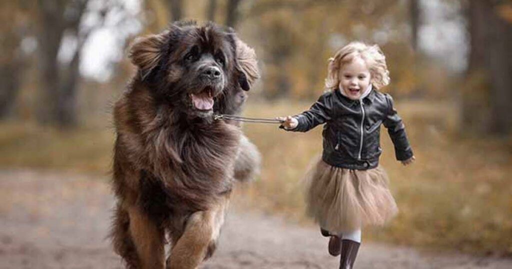 easy animal riddles 1