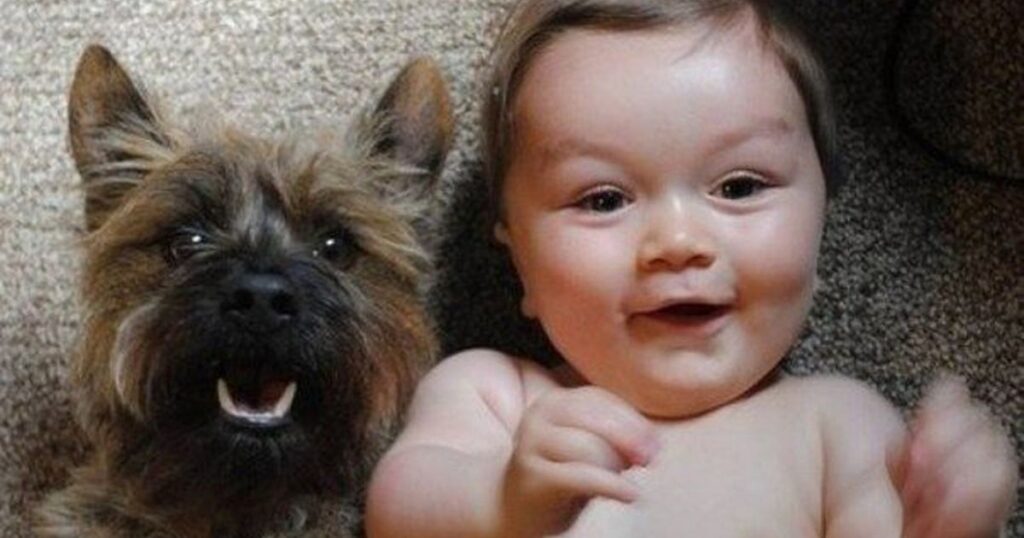 expert level animal riddles