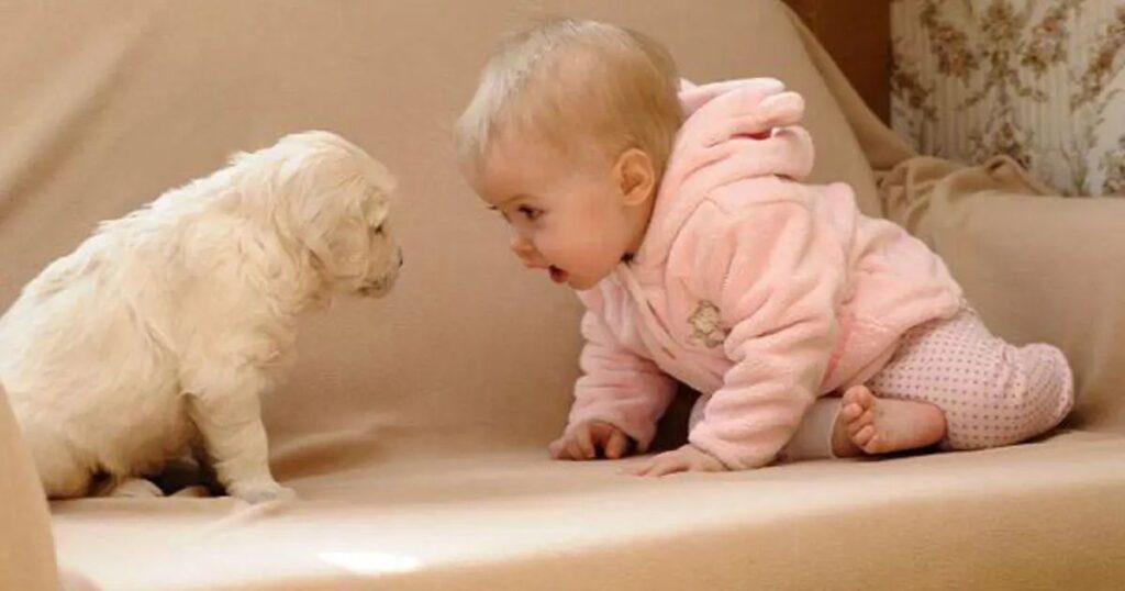 10+ Animal Brain Teasers for Kids That Are Fun and Challenging 3 funny animal brain teasers