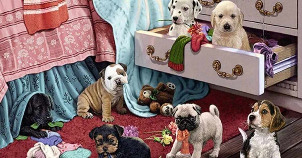 funny animal riddles 1 1