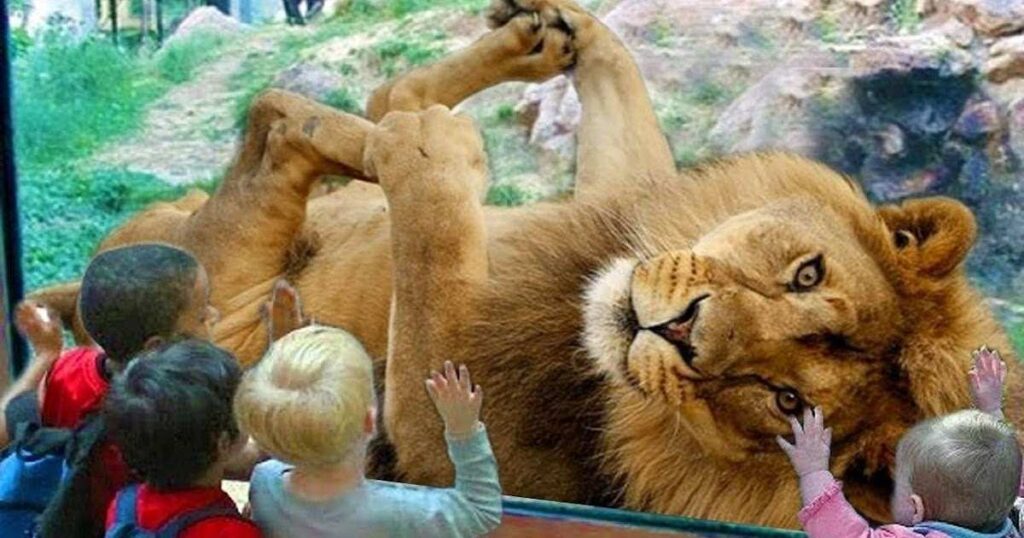 funny animal riddles 1