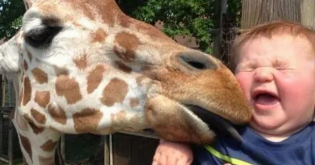 funny animal riddles 2 1