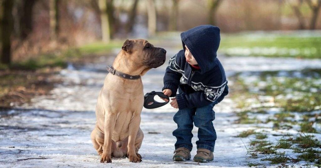 funny animal riddles 3