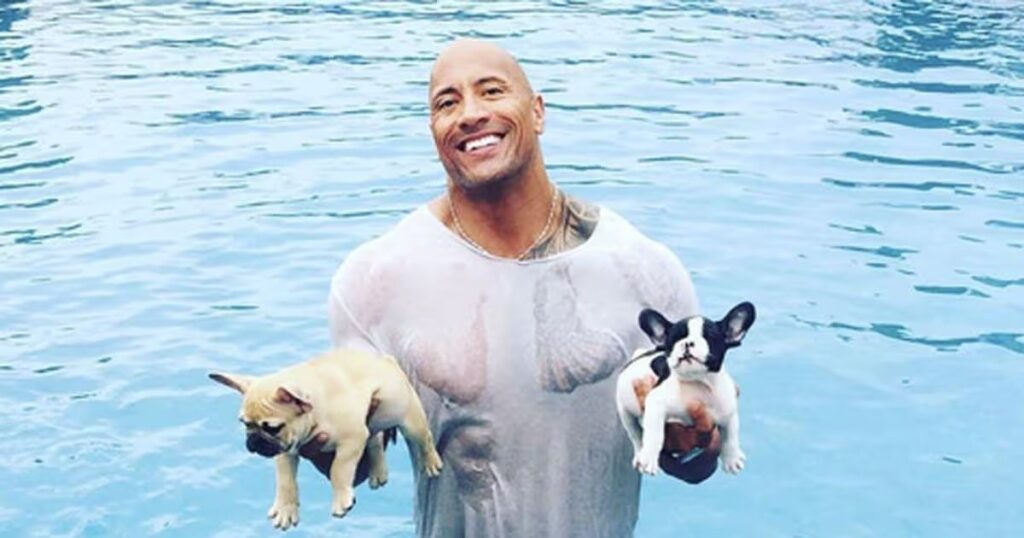 funny celebrity riddles 3