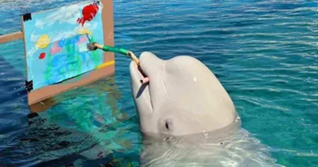 funny dolphin riddles