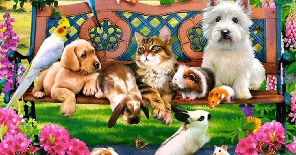 hard animal riddles 1 1