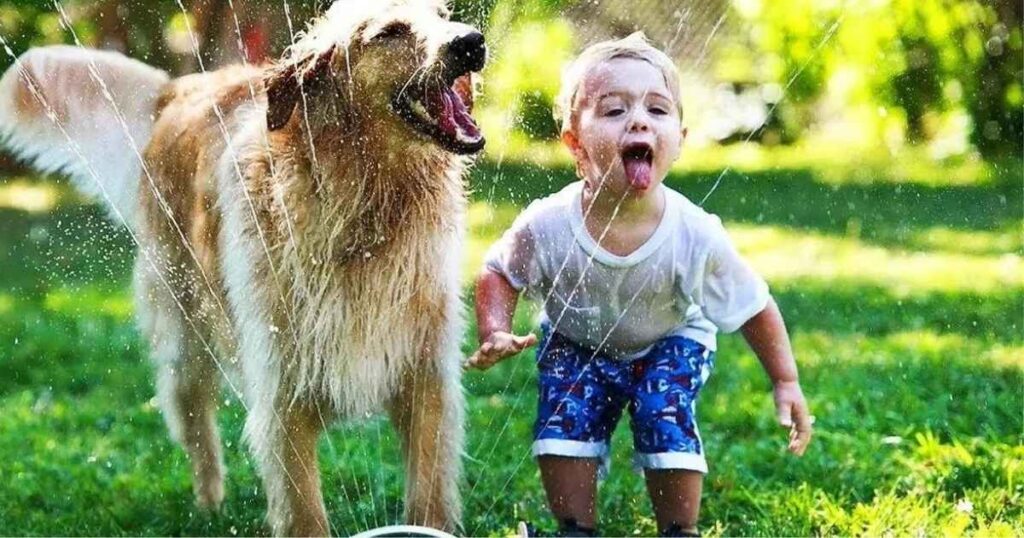 36+ Animal Riddles for Kids and Families That Are Fun, Easy and Tricky to Solve 6 hard animal riddles