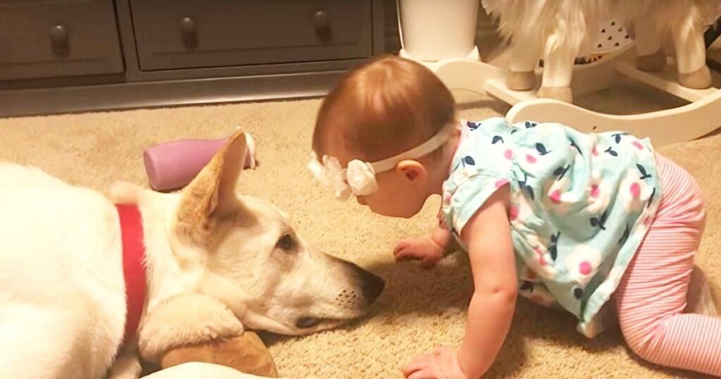 hard animal riddles 3