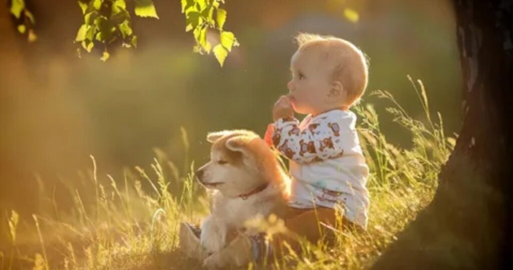 36+ Animal Riddles for Kids and Families That Are Fun, Easy and Tricky to Solve 8 short animal riddles