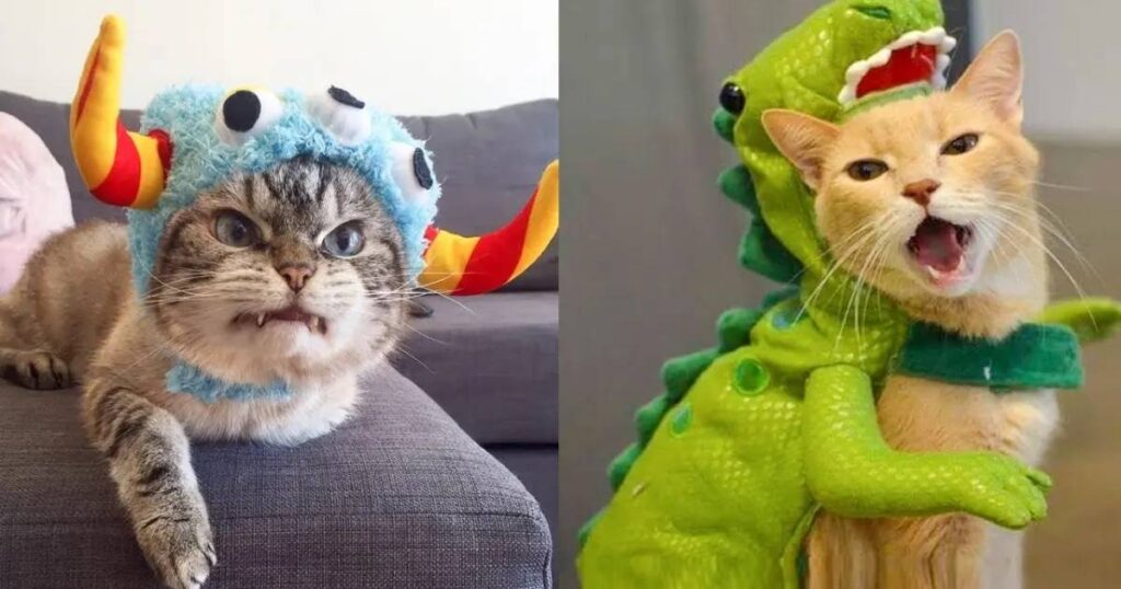 silly animal riddles