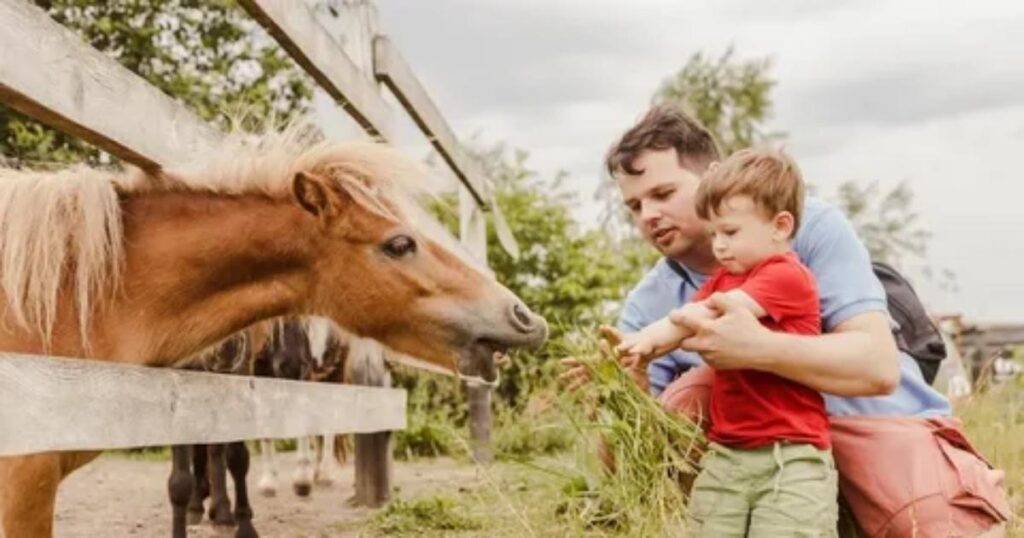 tricky animal riddles