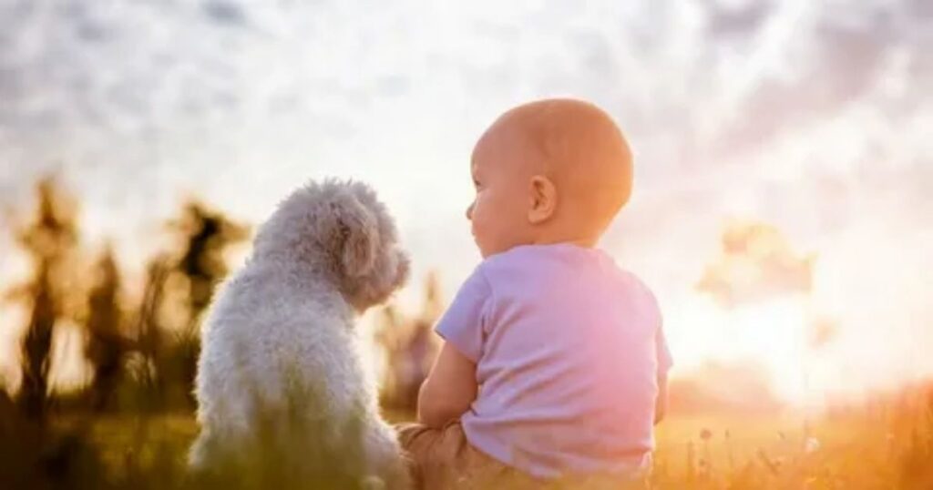 36+ Animal Riddles for Kids and Families That Are Fun, Easy and Tricky to Solve 7 tricky animal riddles with answers