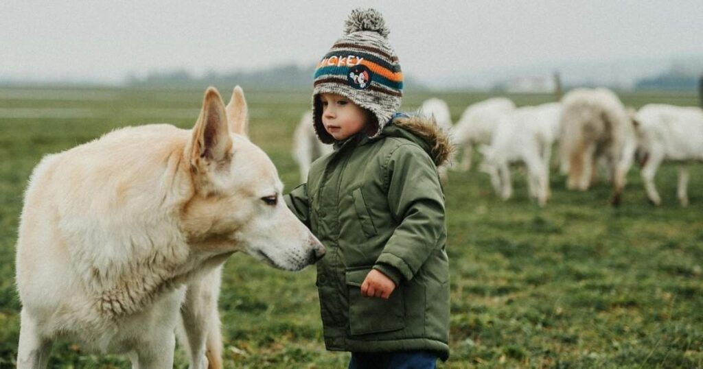 what are animal riddles for kids