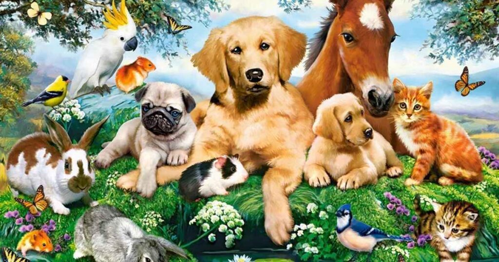 what are animal riddles with pictures 1