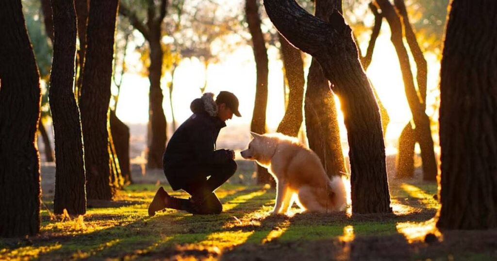 what are how far can a dog run into the woods riddle