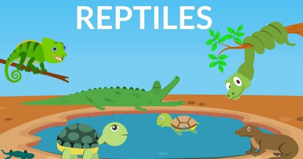 what are reptile and insect riddles