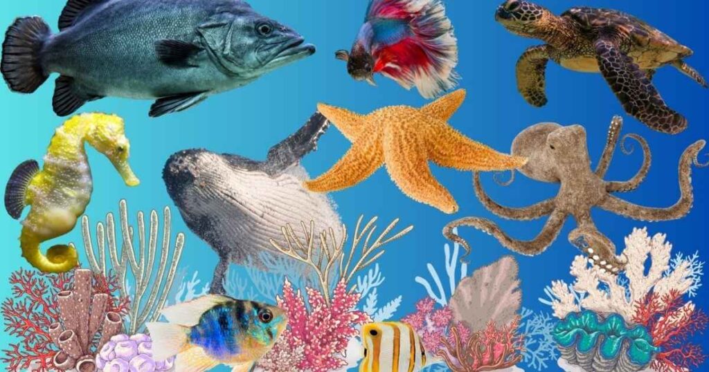 7+ Fun Sea Animal Riddles for Kids to Explore the Ocean π 1 what are sea animal riddles