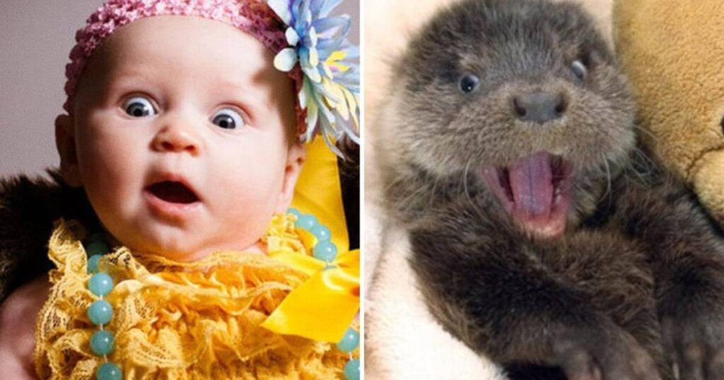 what are tricky animal riddles with answers