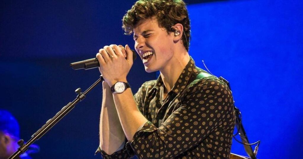 shawn mendes music riddles