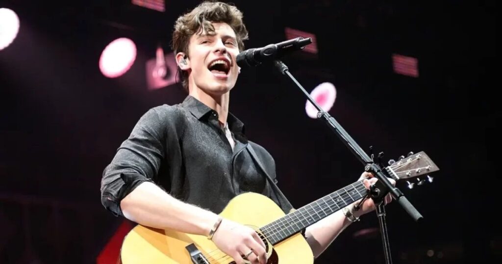 shawn mendes riddles