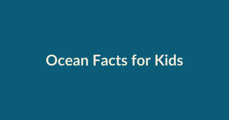 Ocean Facts for Kids educational featured image