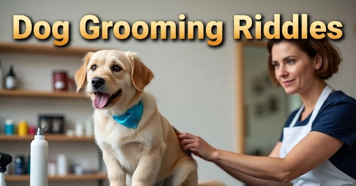 Dog Grooming Riddles